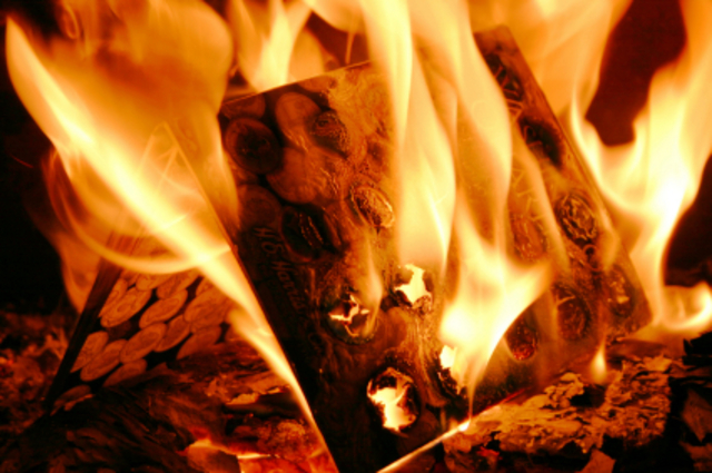 Period of the Book Burning Policy