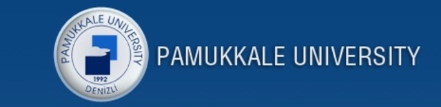 18:30 “International trade between Turkey and the EU” - Doctor Hacer Simay Karaalp - Pamukkale University – Faculty of Economics and Administrative Sciences
