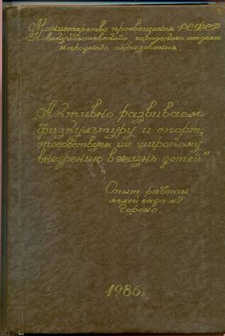 Опыт работы по физкультуре и спорту