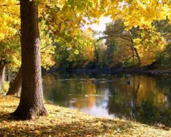Felix wachte auf dem Fluss.