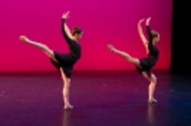 Business Description