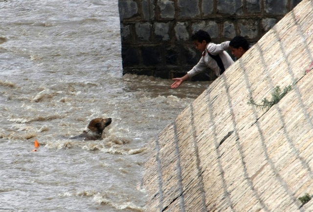Tesa nearly drowned in the canal