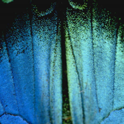 Timeline: Technology Integration at Jefferson School