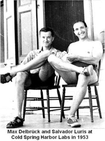 Max Delbrück (1906-1981) y Salvador Luris1912-1991)