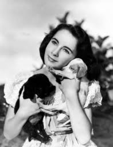 Elizabeth Taylor’s first big success- National Velvet.