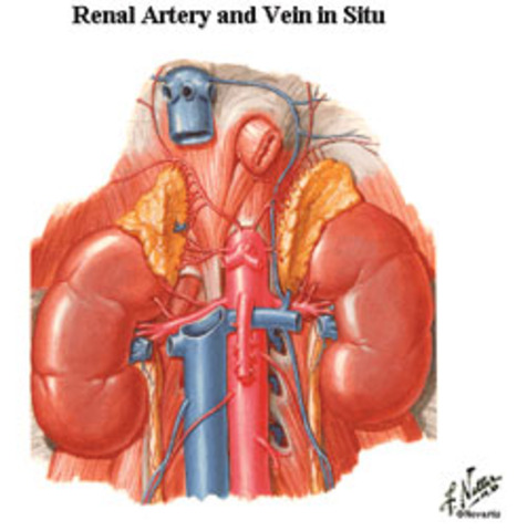 Inventions: Kidney Dialysis