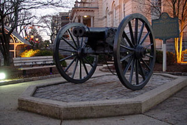 Double-barrland cannon