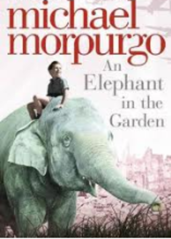 The elephant in the garden