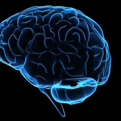 Timeline: If I Only Had A Brain...