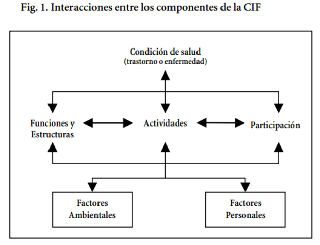 Clasificación CIF (OMS)