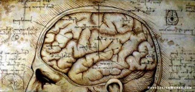 Leonardo Da Vinci Draws the Brain