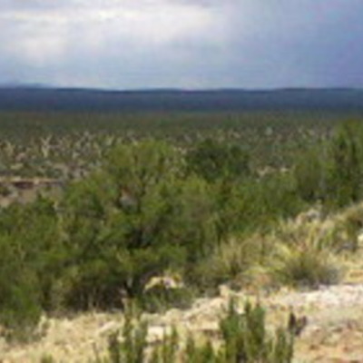 Timeline: New Mexico Digital Newspapers