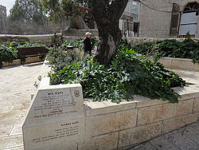 "Bush plaza" in Jerusalem