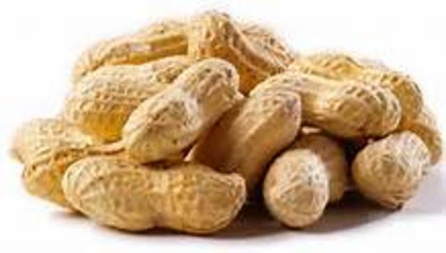 George washigation carver