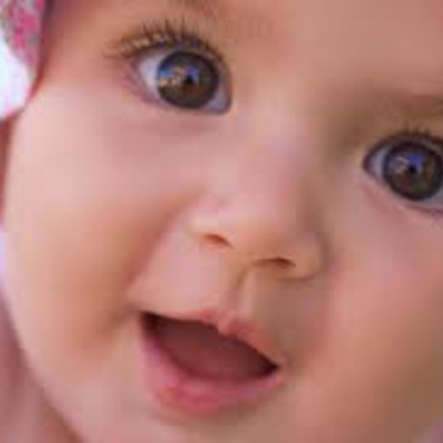 Timeline: Fetal Development