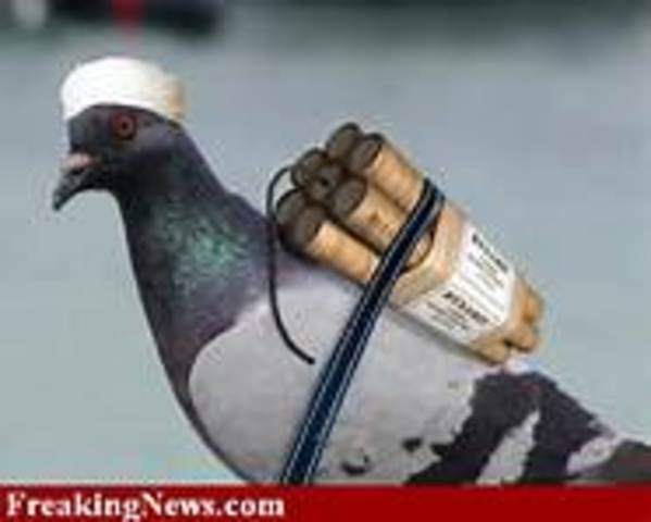 The day i cracked under pressure