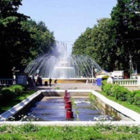 Станция  7. "Парковый урок"