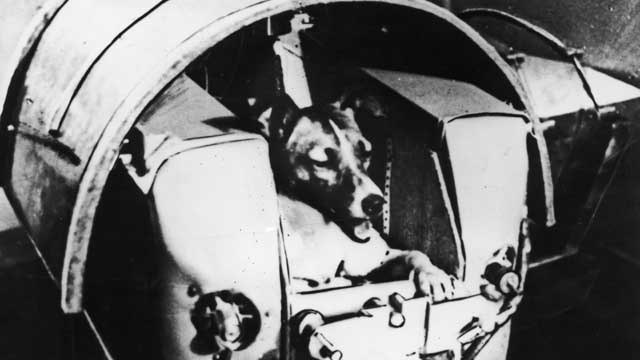 Soviet Union launches dog into space