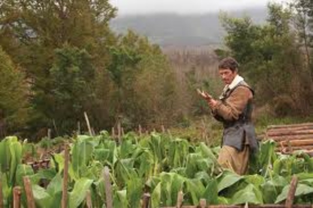 Introduction of Tobacco to the American Colonies