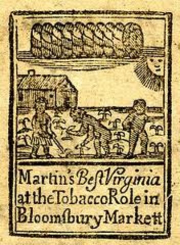 Introduction of tobacco to the American Colonies