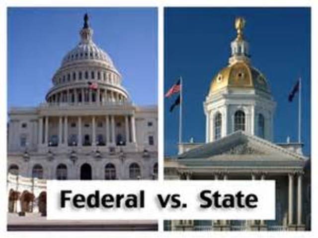 Federal Government vs. State Government