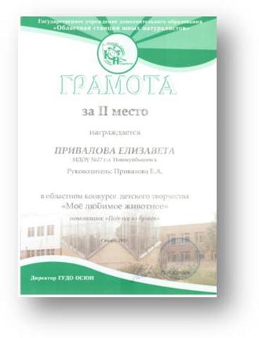 Достижения воспитанников