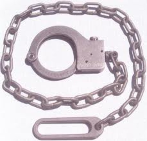 The British ship called "The First Fleet" sailed to Australia