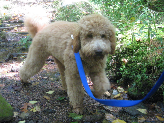 My favorite outdoor activity