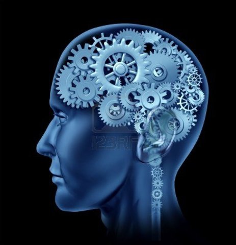 Creció interés por la psicología cognitiva y uso de computadores