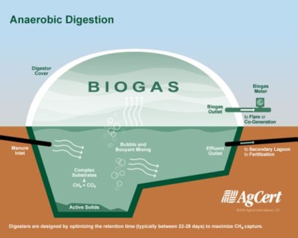 Energía anaeróbica – sustitución de gas natural a nivel global.