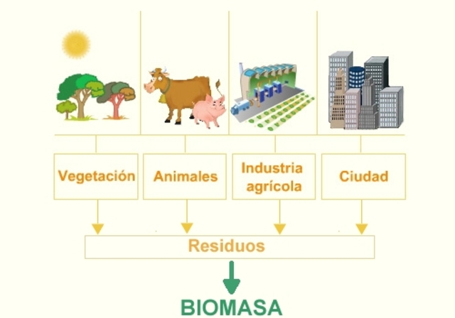 Energía de biomasa