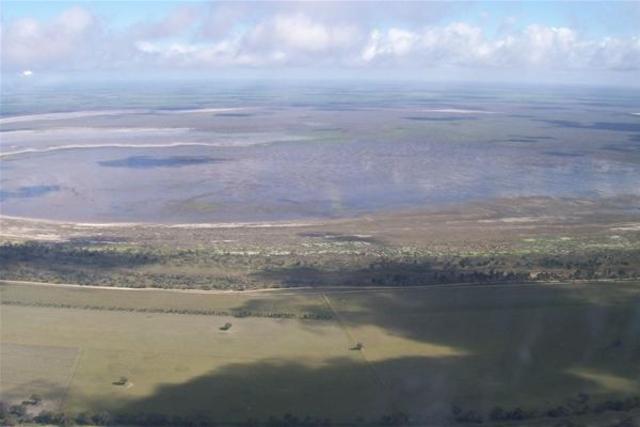 Discovered and named Lake Hindmarsh.