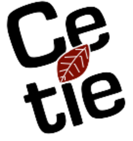 Director of CETIE-UVa