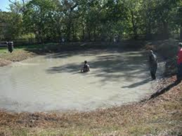 Trudys first water adventure