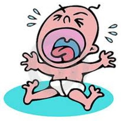 Timeline: Fetal Development Timeline