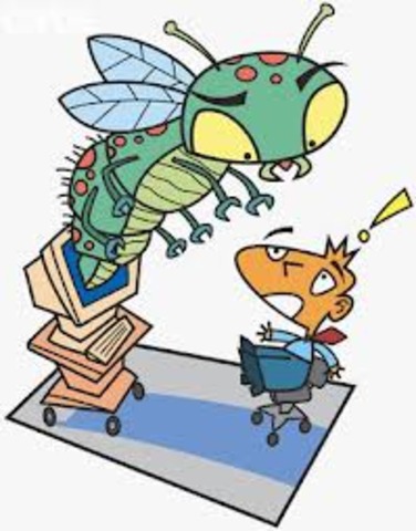 Computer Bug