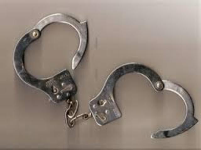 Mit Bruno hilft die Diebe erwischt werden.