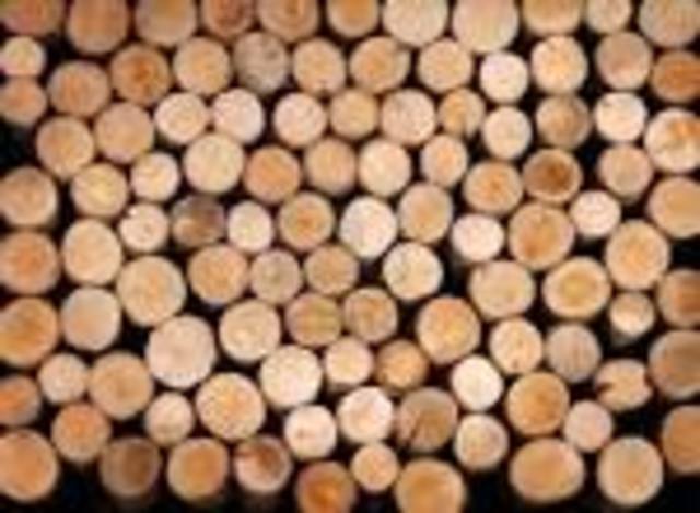 Wood commonly used for heating and lighting