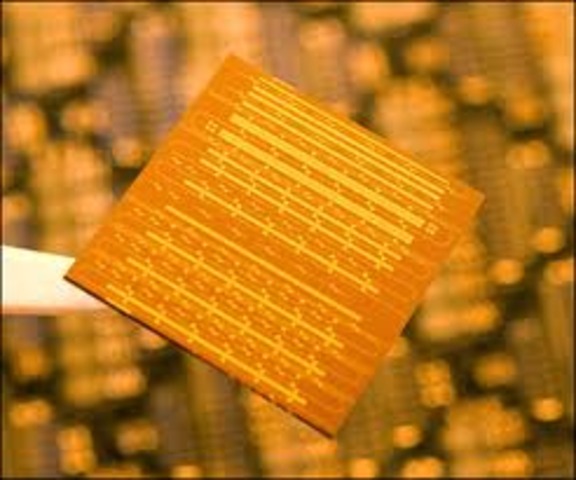 Silicon Chips