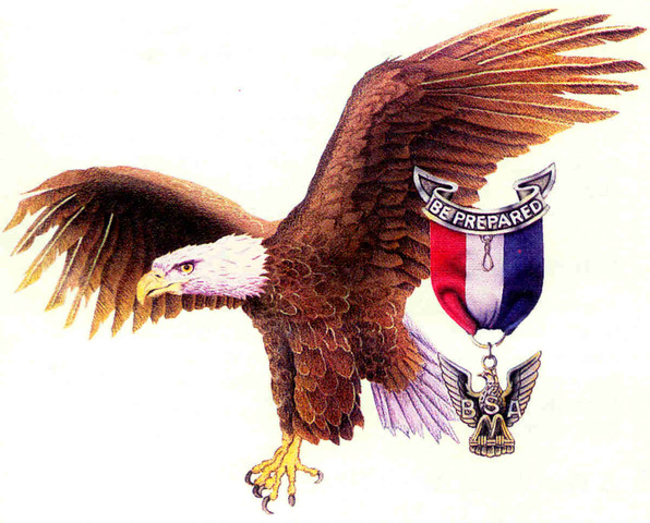 Got my Eagle Scout!!!!!!!!!!!!!!!!!!!