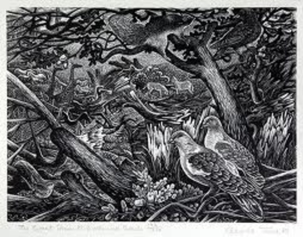 THE GREAT STORM OF IRELAND