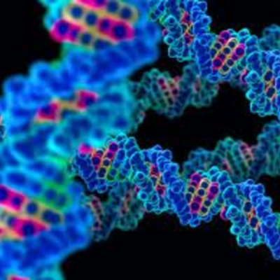 Timeline: History of Genetics