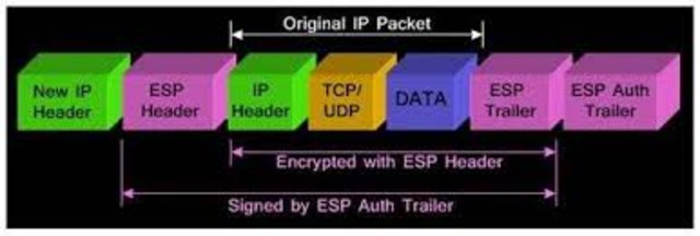 Packets become mode of transfer