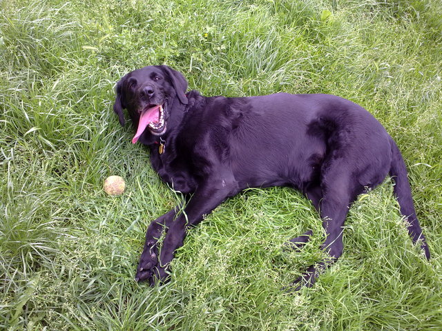 Sierra entra en nuestro hogar