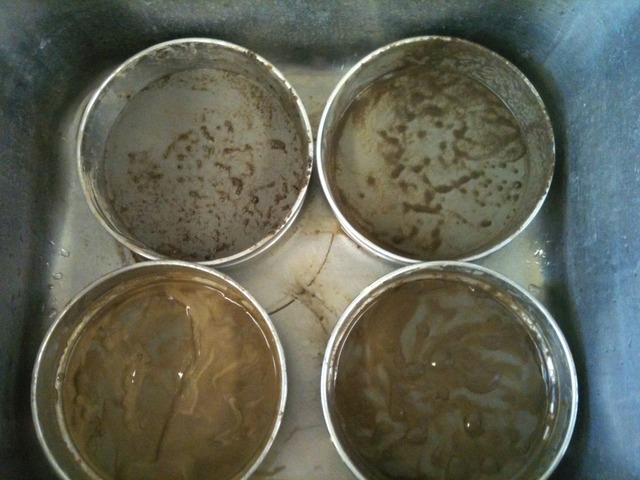 Soil Gradient and EcoTube Contruction/Planting