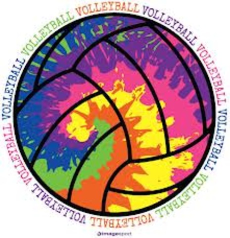 Made the volleyball team