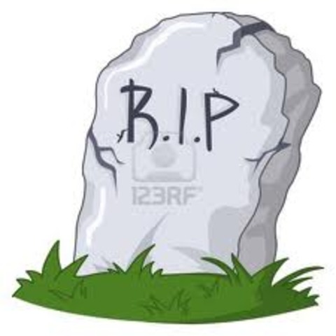 she died because of the snake