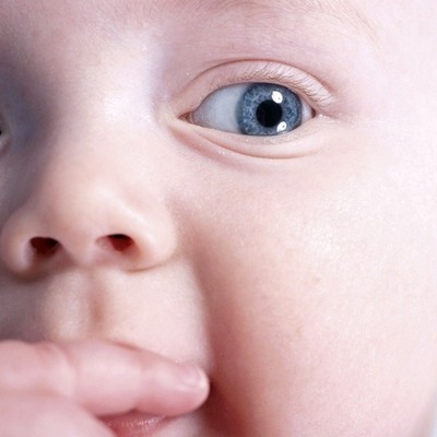 Timeline: Fetal Development Timeline