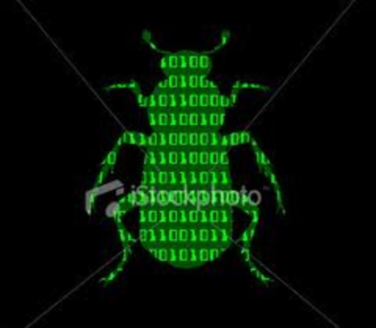 Computer Bug