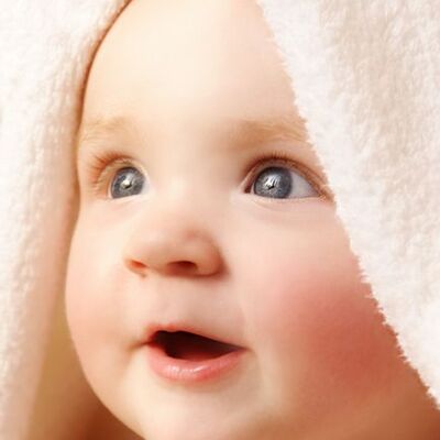 Timeline: Fetal Development Timeline